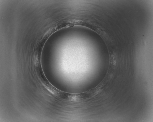 X0000078010564200610271211