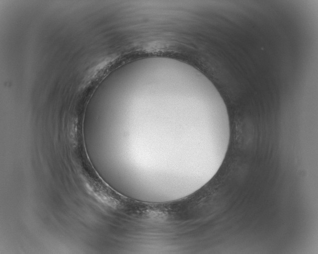 X0000078010592200610271210