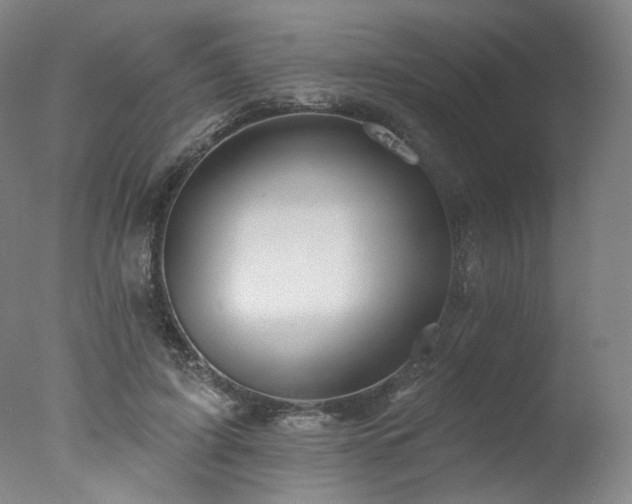 X0000078010595200610271210