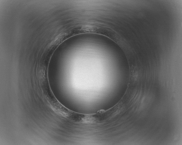 X0000078010603200610271210
