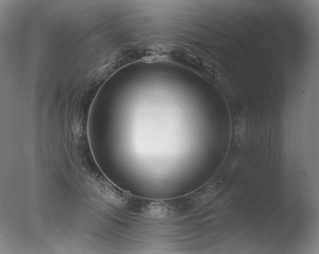 X0000078010608200610271209