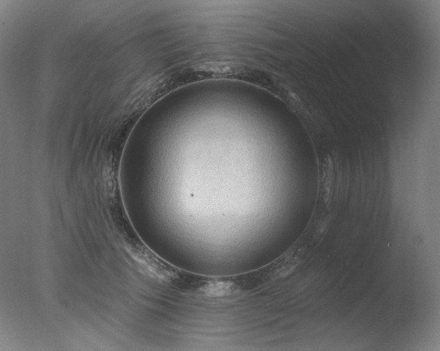 X0000078010609200610271209