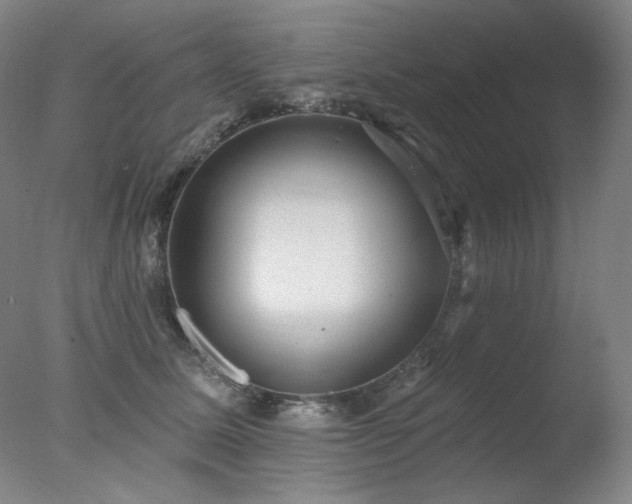 X0000078010611200610271209