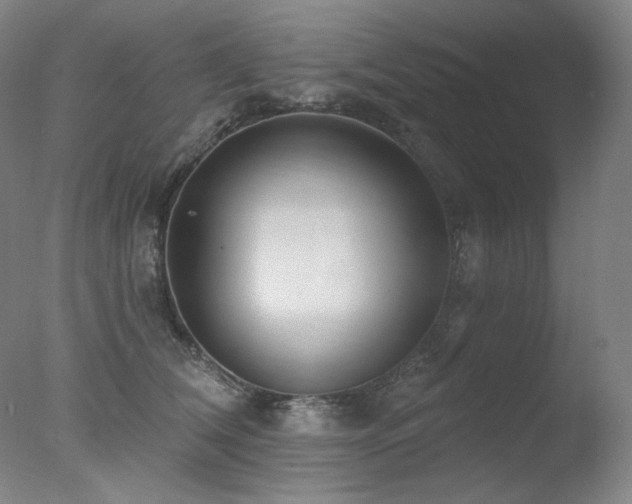 X0000078010612200610271209
