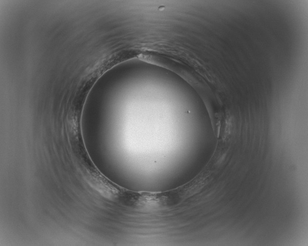 X0000078010613200610271209