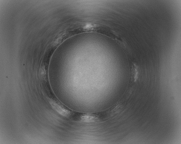X0000078010614200610271209
