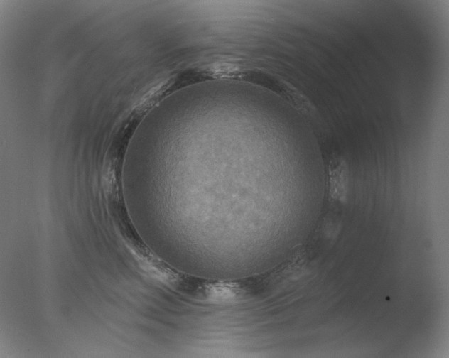 X0000078010618200610271209