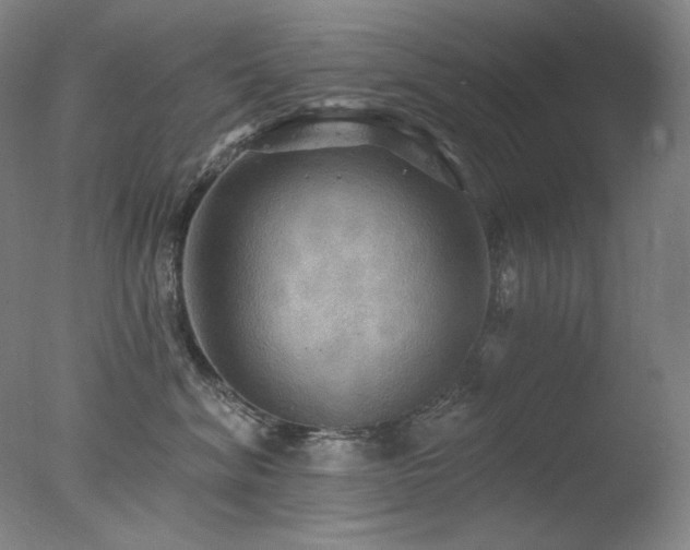 X0000078010620200610271209
