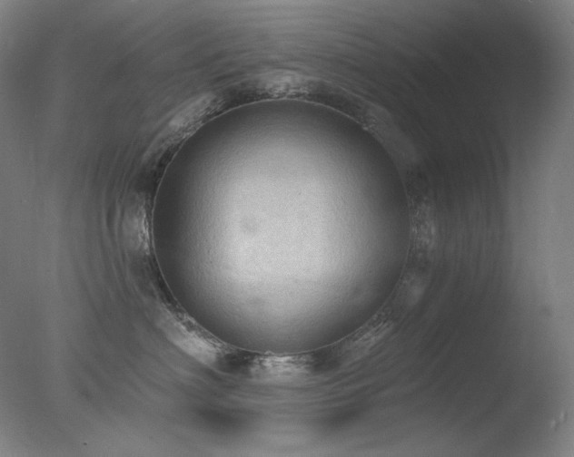 X0000078010622200610271209