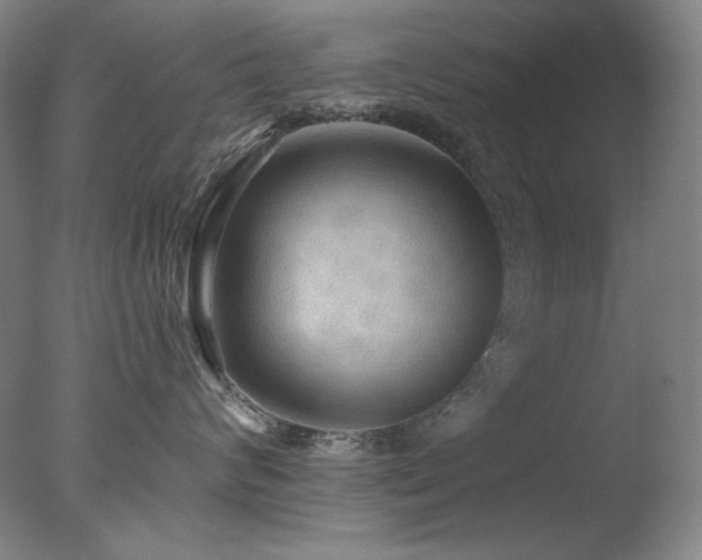 X0000078010624200610271209