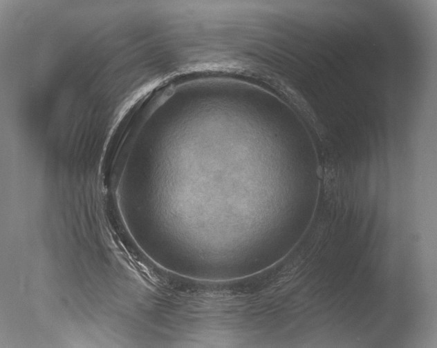 X0000078010628200610271208