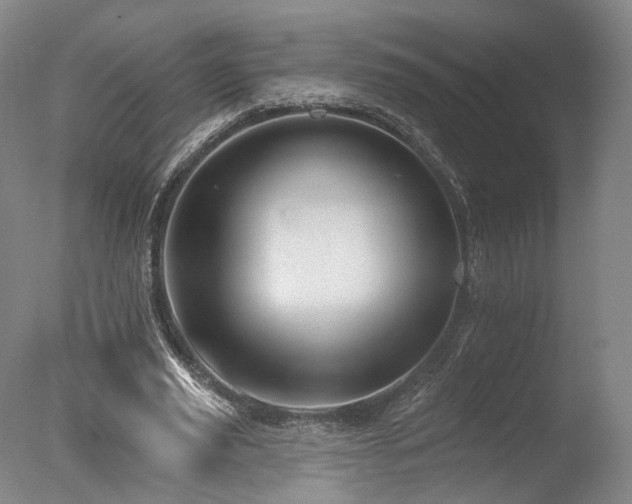 X0000078010629200610271208