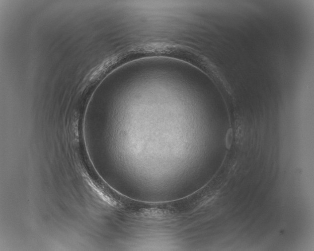 X0000078010633200610271209