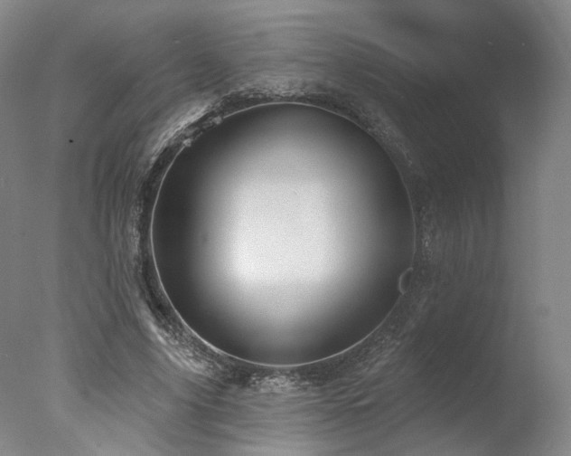 X0000078010635200610271209