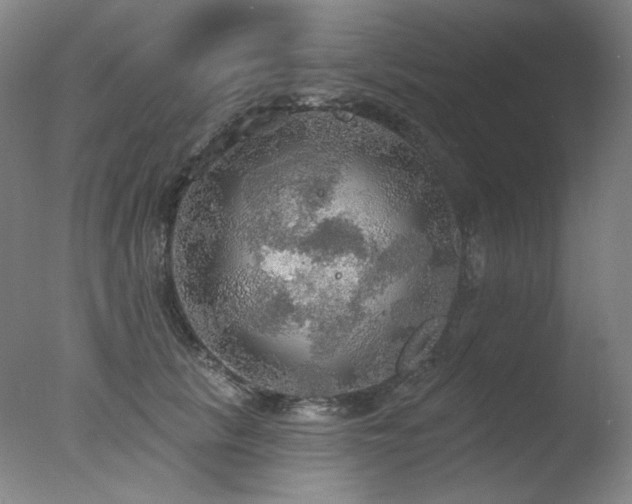 X0000078010657200610271209