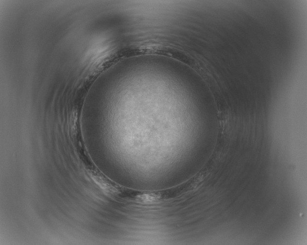 X0000078010660200610271209
