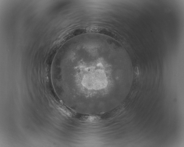 X0000078010663200610271209