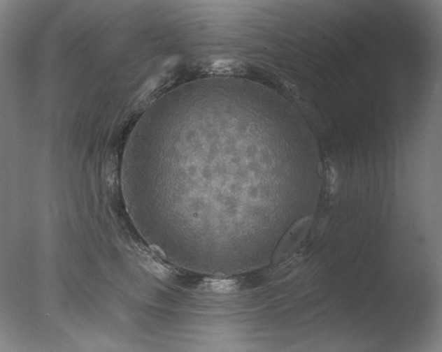 X0000078010665200610271209