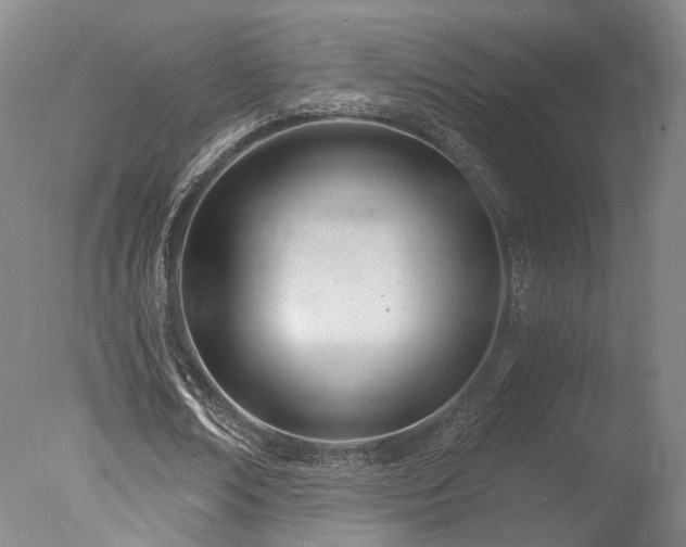 X0000078010674200610271208