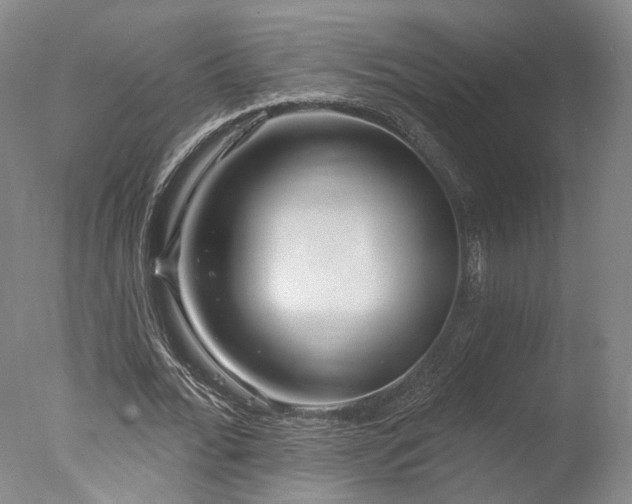 X0000078010676200610271208
