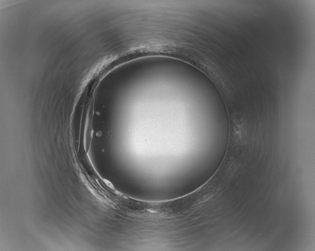 X0000078010678200610271208