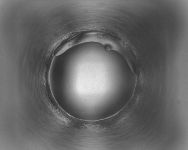 X0000078010681200610271208