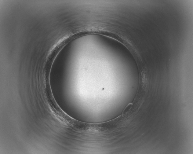 X0000078010684200610271208