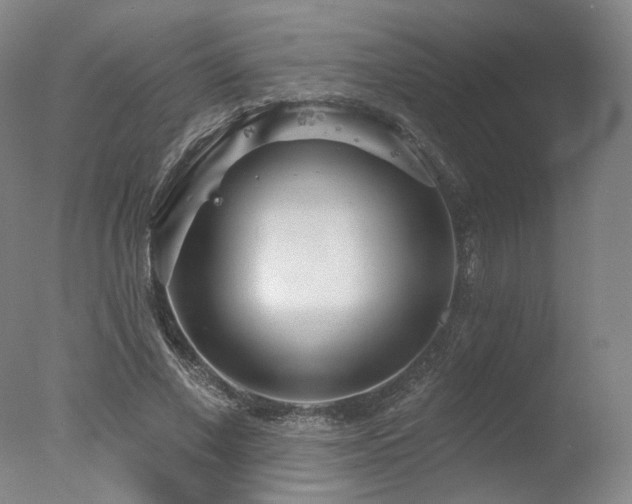 X0000078010685200610271208