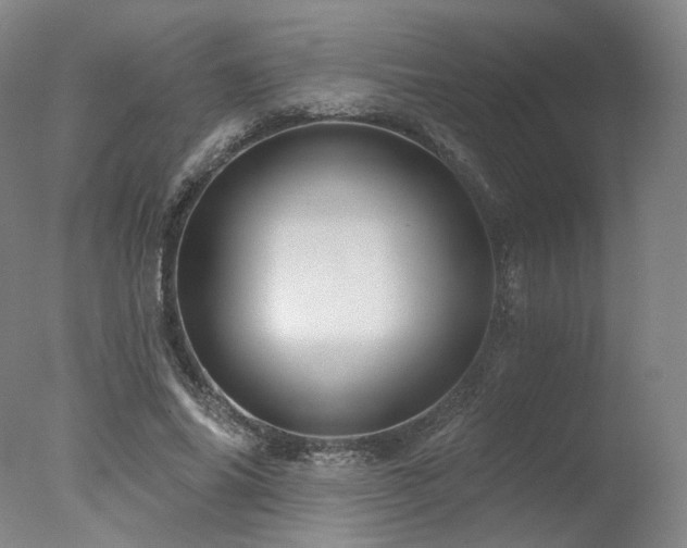 X0000078010686200610271208