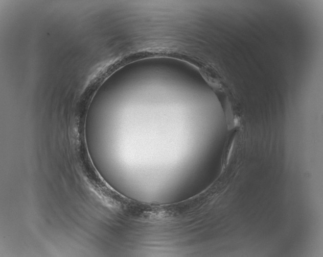 X0000078010688200610271208