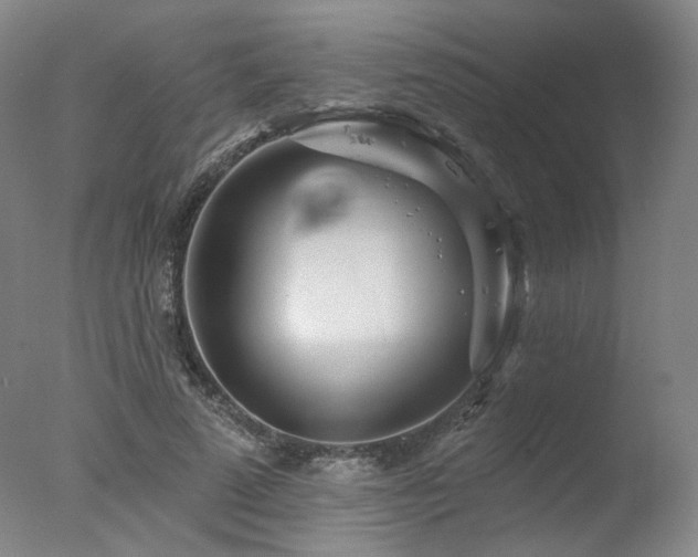 X0000078010689200610271208