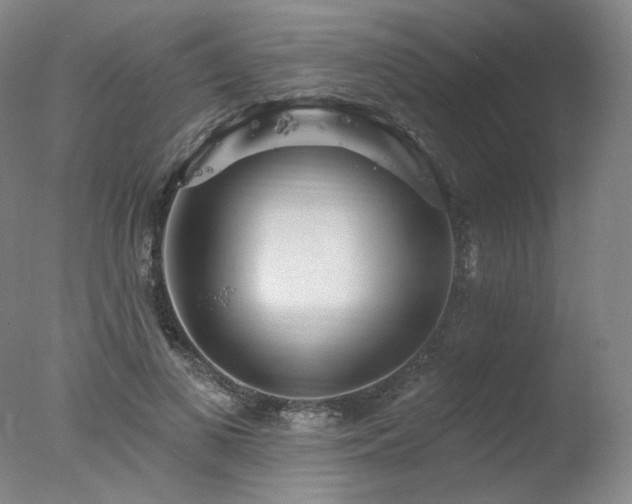 X0000078010693200610271208
