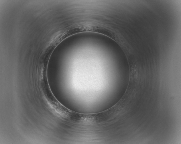 X0000078010694200610271208