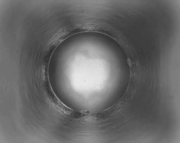 X0000078010696200610271208