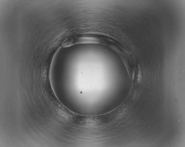 X0000078010697200610271208