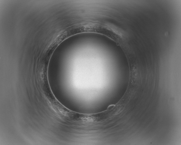 X0000078010698200610271208