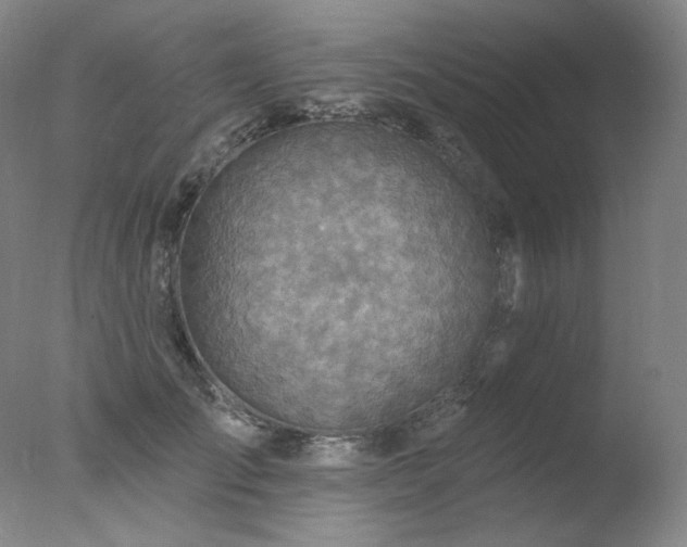 X0000078010701200610271208