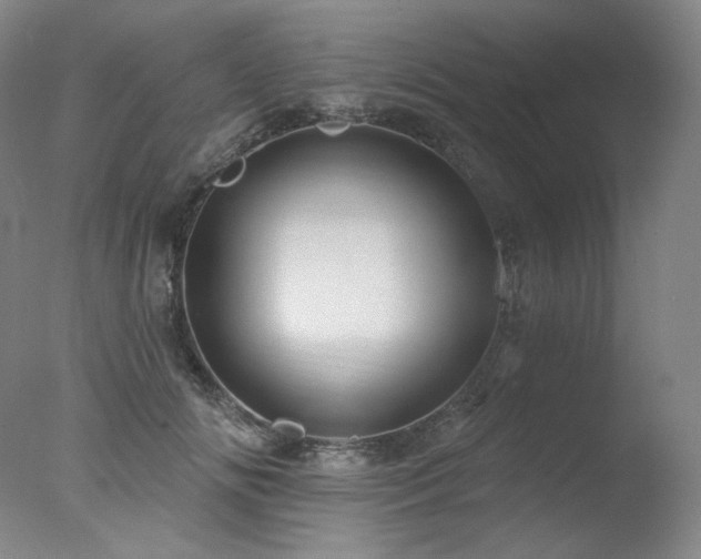 X0000078010702200610271208