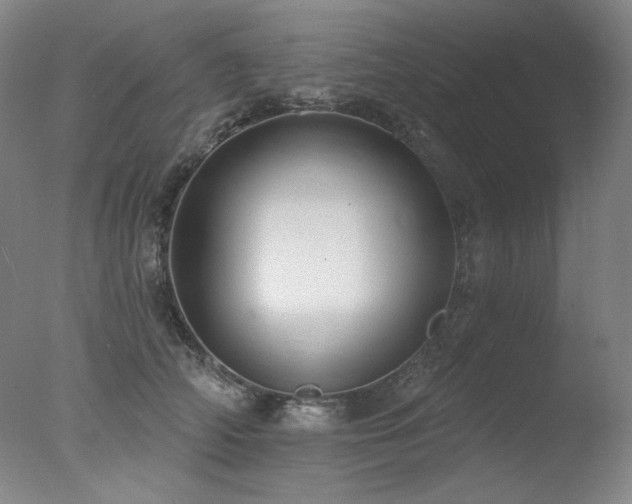 X0000078010706200610271208