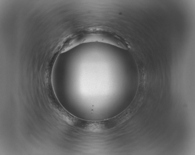 X0000078010708200610271208