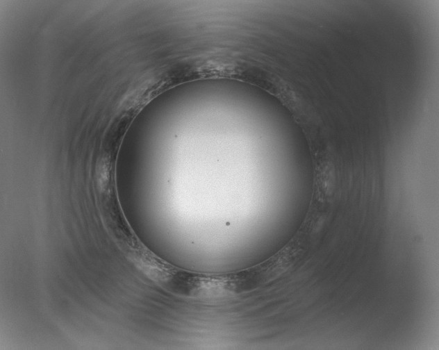 X0000078010709200610271208