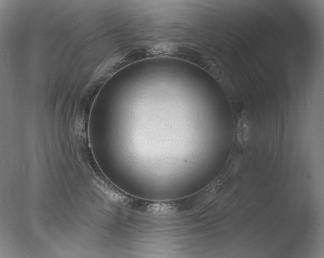 X0000078010714200610271208