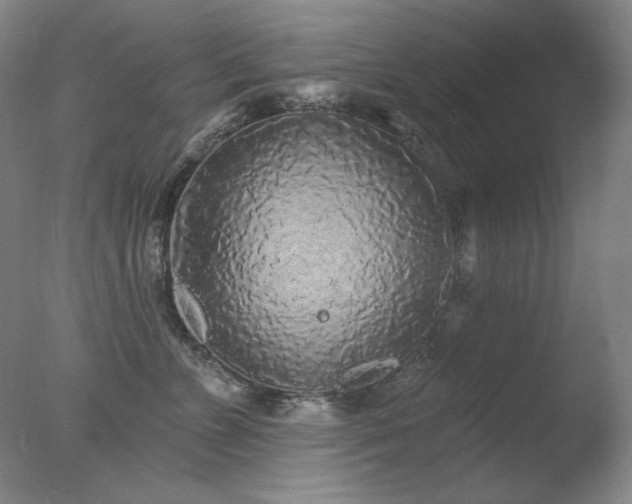X0000078010715200610271208
