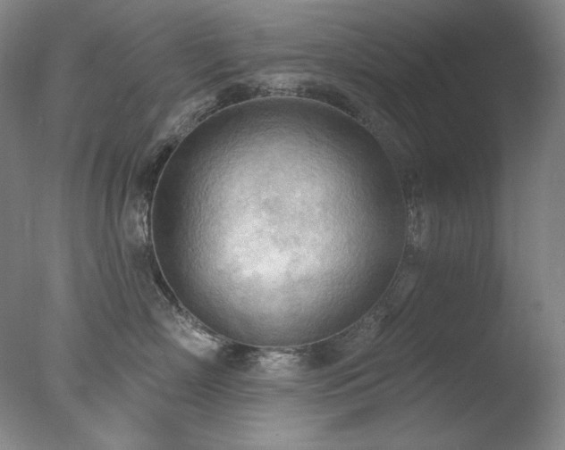X0000078010718200610271208