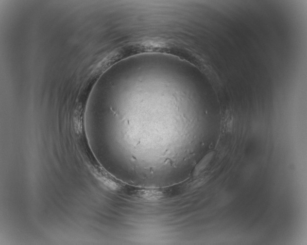 X0000078010719200610271208