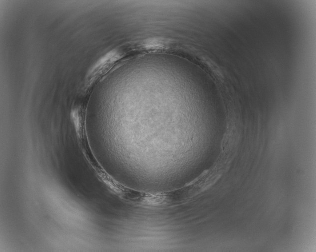 X0000078010720200610271208