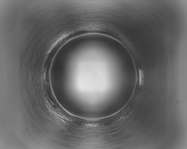 X0000078010723200610271207