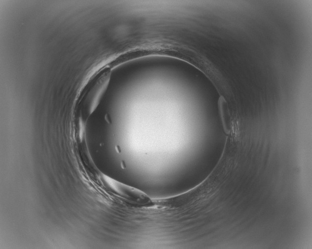 X0000078010724200610271207