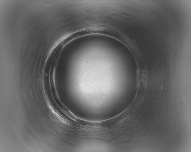 X0000078010726200610271207