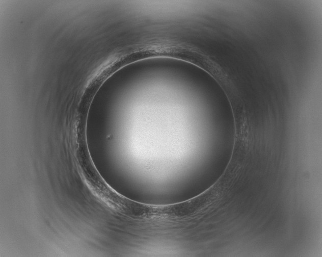X0000078010730200610271207